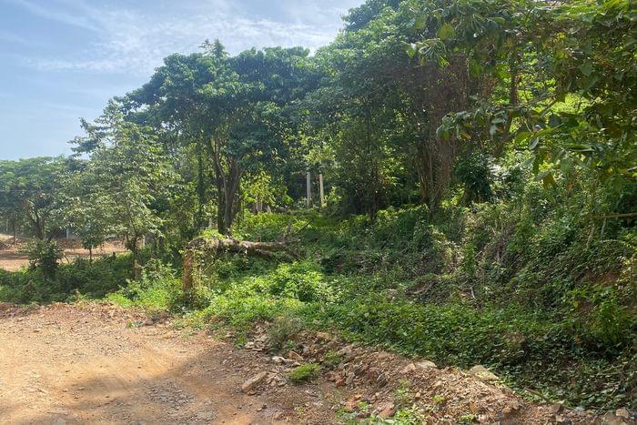 02-vente-terrain-T-VI-2-las terrenas