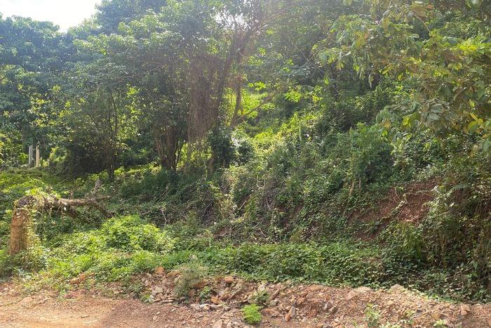 04-vente-terrain-T-VI-2-las terrenas