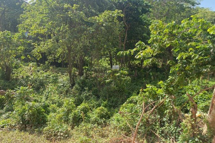 05-vente-terrain-T-VI-2-las terrenas