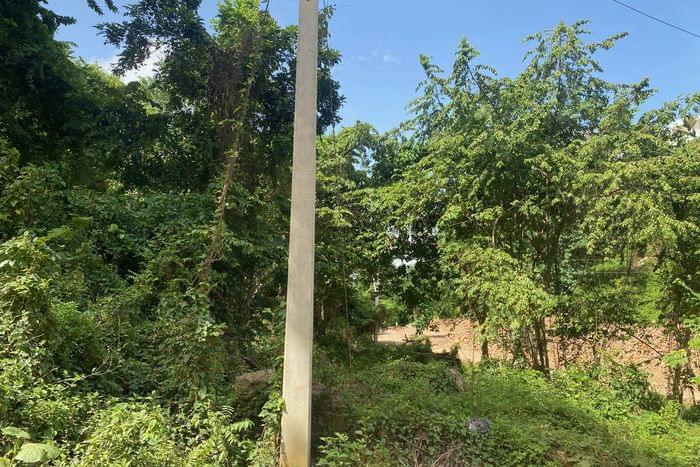 06-vente-terrain-T-VI-2-las terrenas