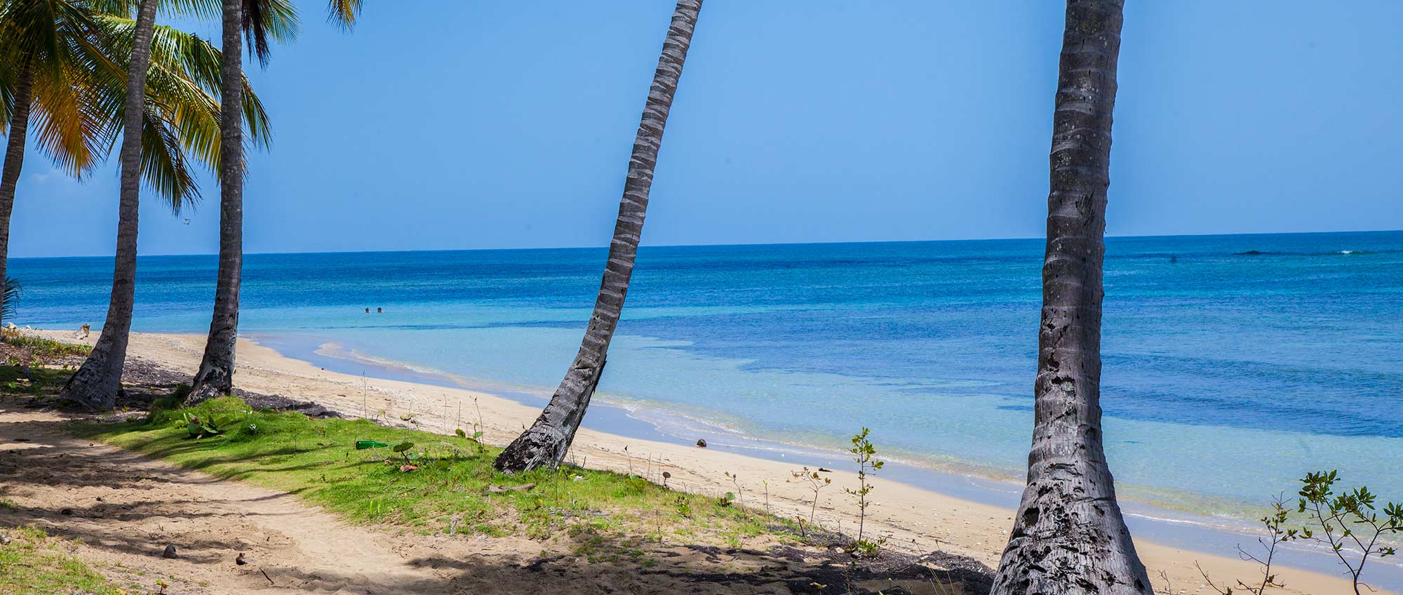 playa punta bonita las terrenas