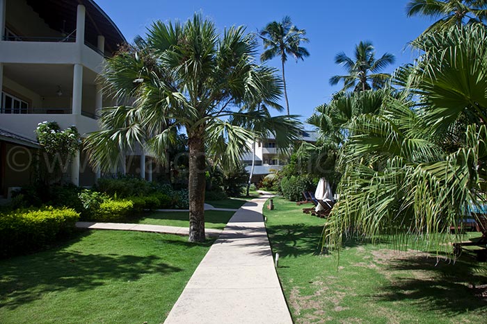 alisei 34 vente appartement las terrenas 02