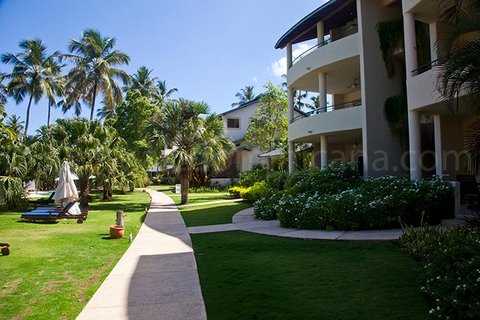 alisei 34 vente appartement las terrenas 04