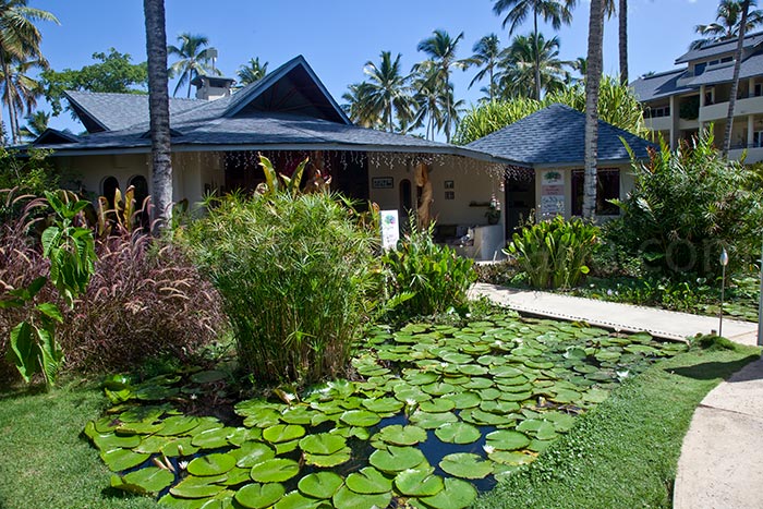 alisei 34 vente appartement las terrenas 19