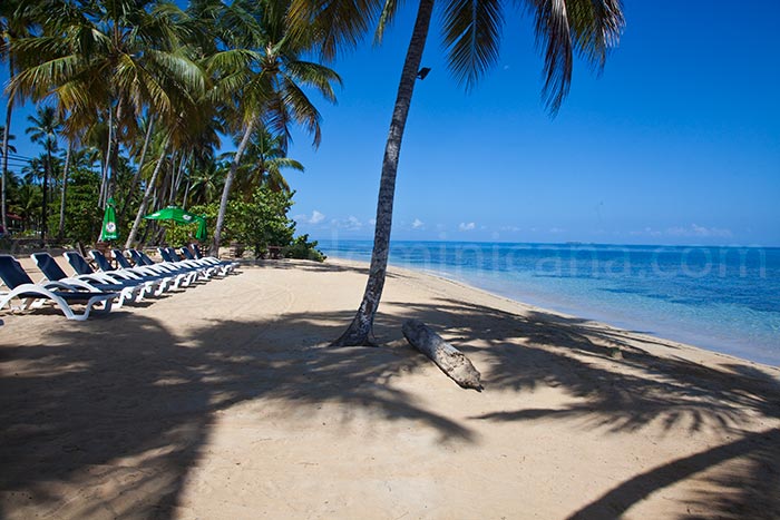 alisei 34 vente appartement las terrenas 27