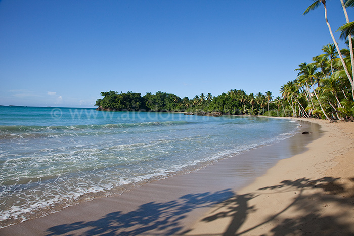 appartement bonita beach residence vente appartement las terrenas 18