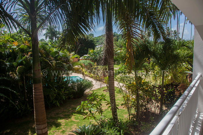 caoba regis vente appartement las terrenas 07