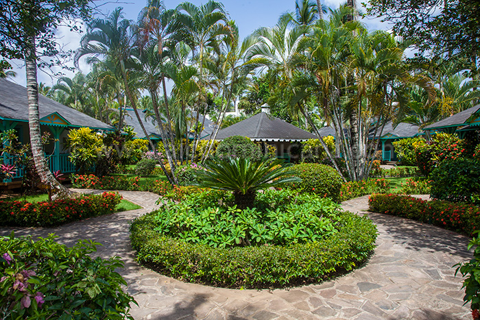 garden las palmas location bungalow las terrenas 01