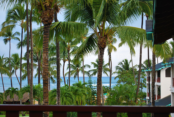 colibri vente appartement las terrenas 01