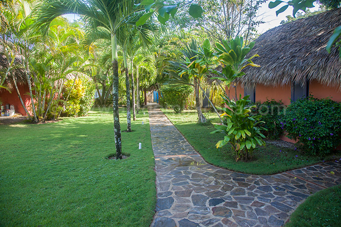 villa havana location villa las terrenas 26