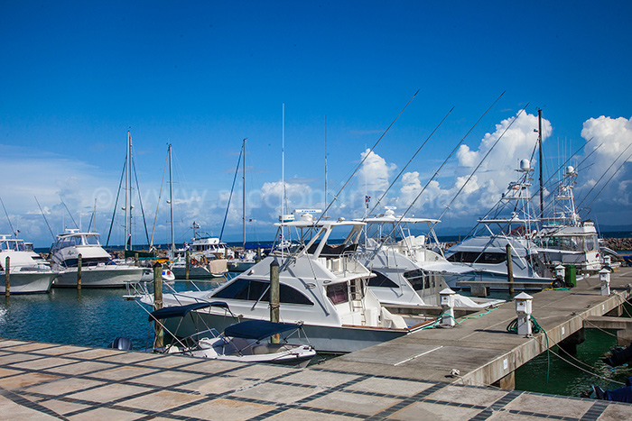 puerto bahia vente appartement samana 15