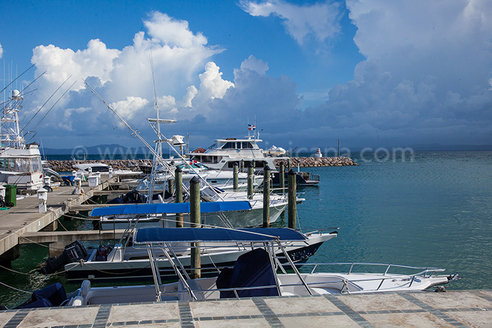 puerto bahia vente appartement samana 16