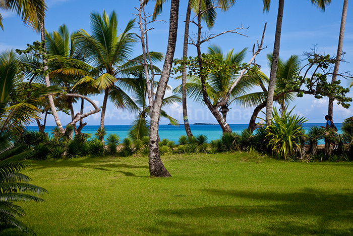 villa querida location villa las terrenas 29