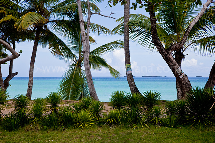 villa querida location villa las terrenas 30