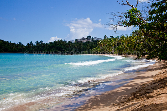 villa querida location villa las terrenas 32