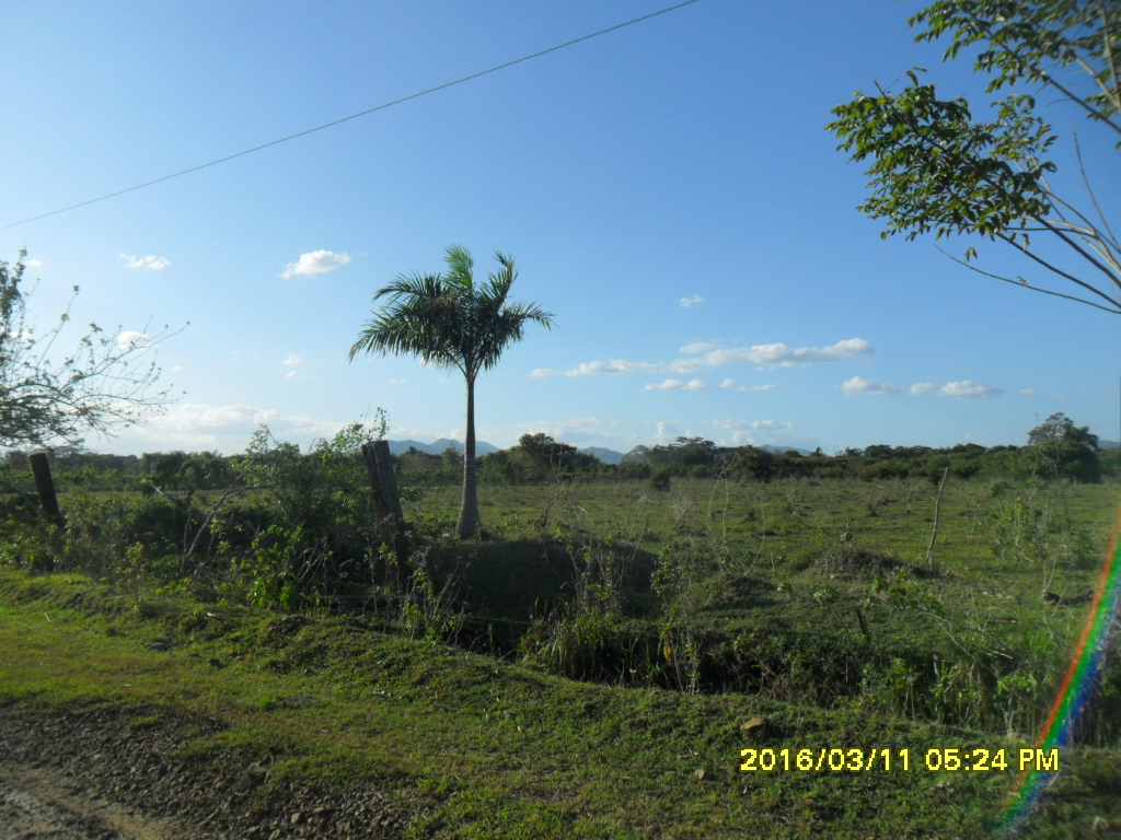 Finca Mercado Santo Domingo