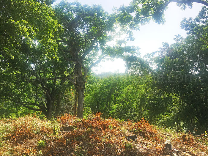 vente terrain Loma Esperanza, La Barbacoa