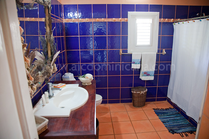 villa clara ines location villa las terrenas 16