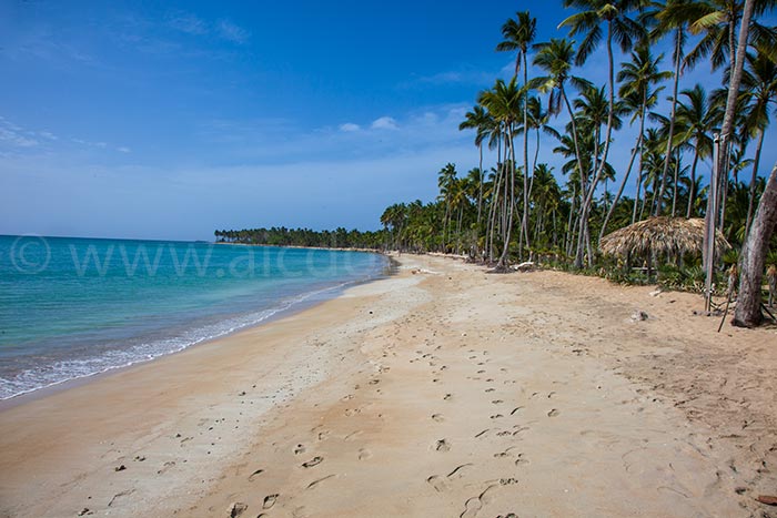 villa-del-mar-location-villa-las-terrenas-04