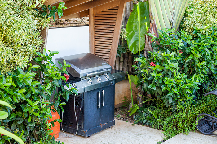 villa sofia location villa las terrenas 17
