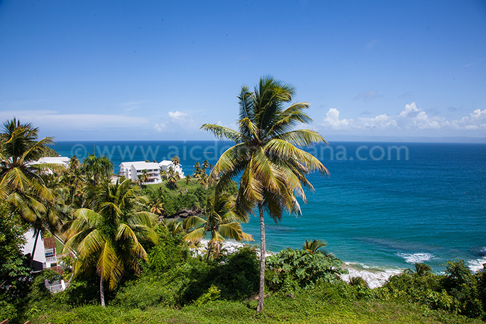 vista mar 302 vente appartement samana 04