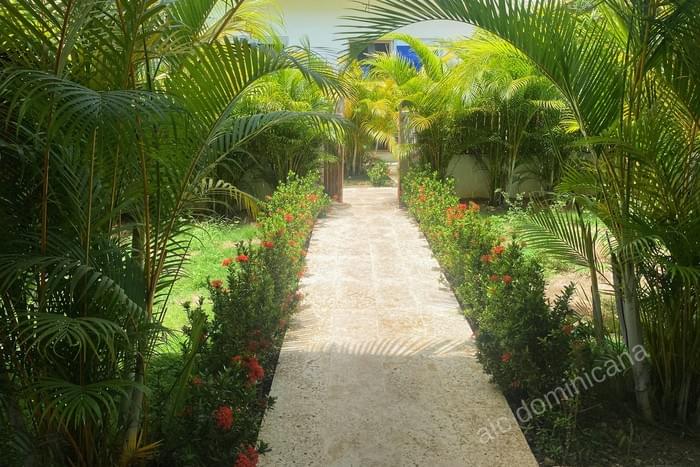 Appartement maison abra grande las terrenas 00016