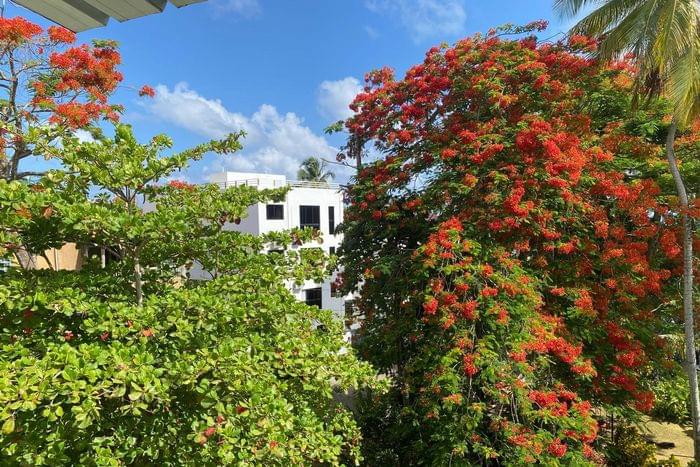 04 vente appartement la residencia las terrenas