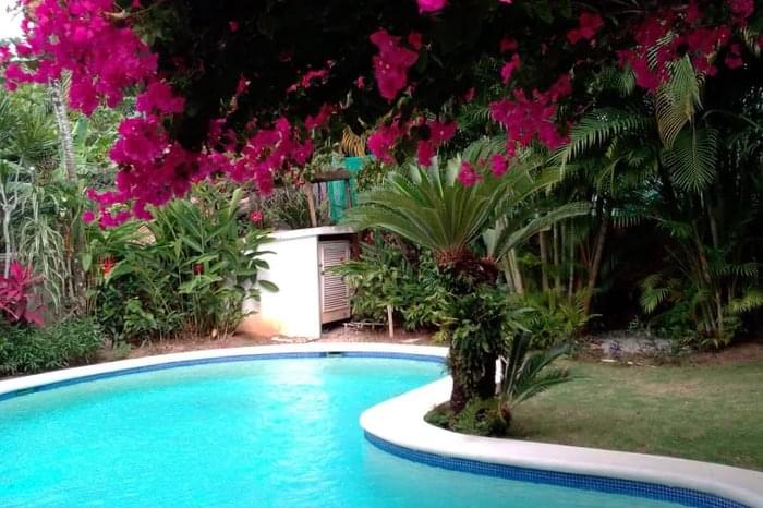 01 villa ballenas sale villa las ballenas las terrenas