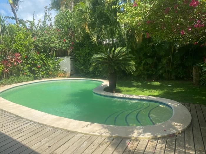 Casa ballenas