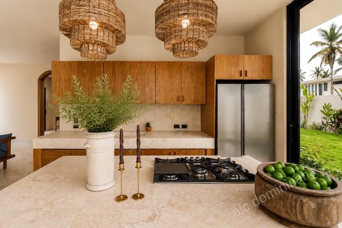 00010 vente villa 4 chambres propriete coson las terrenas