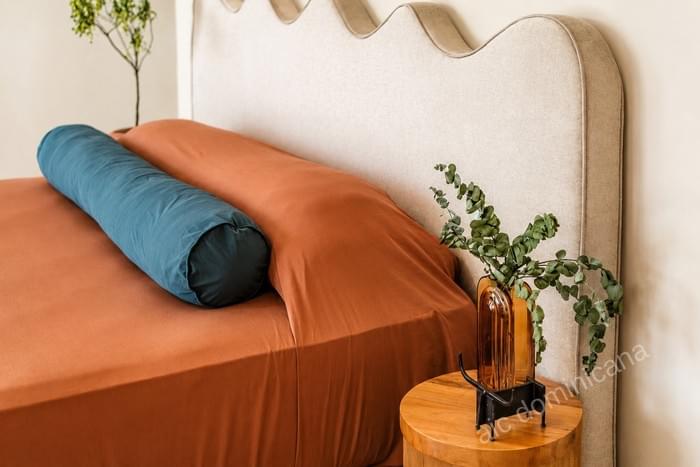 00022 vente villa 4 chambres propriete coson las terrenas