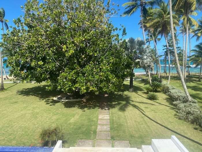 010 villa cotora vente propriete las terrenas