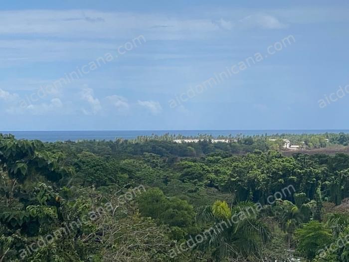 07 villa paraiso1 vente propriete las terrenas